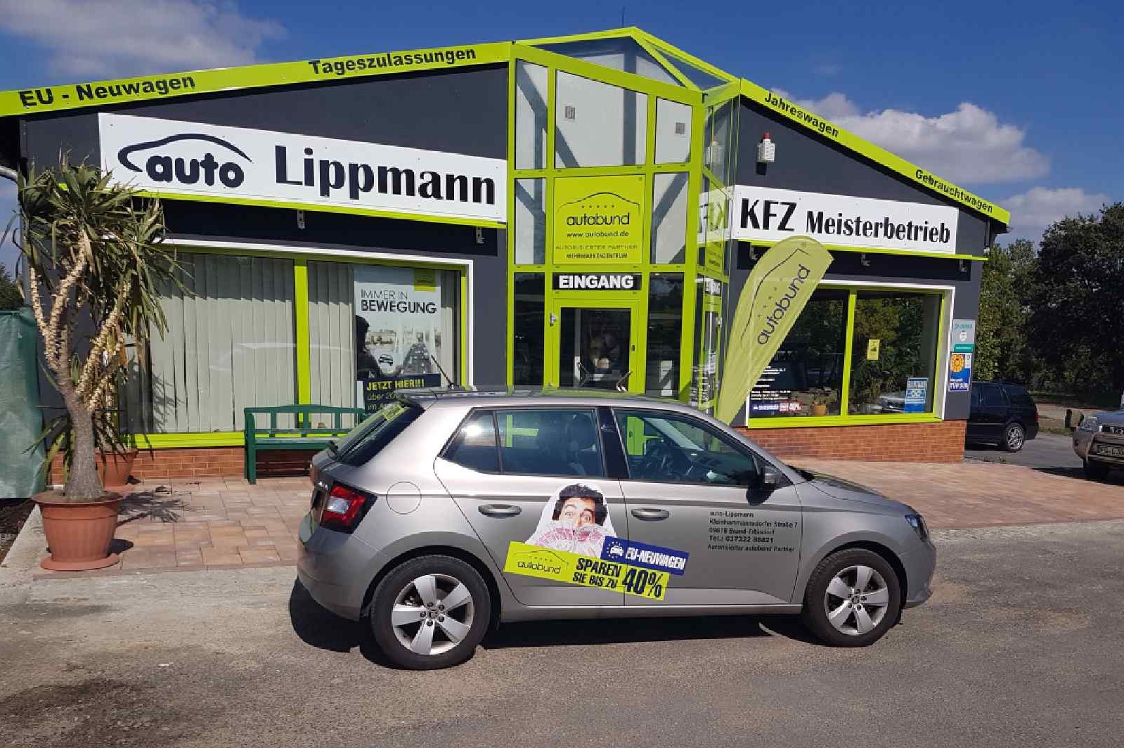 Auto Lippmann