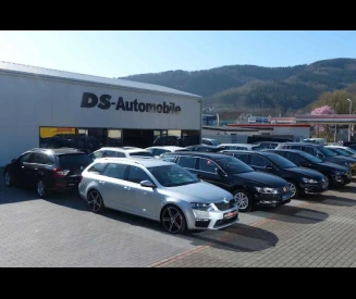 DS Automobile Inh. Dennis Schemmel